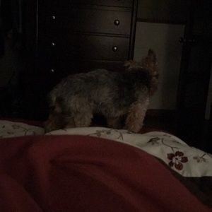 Meet your Posher, Nancy